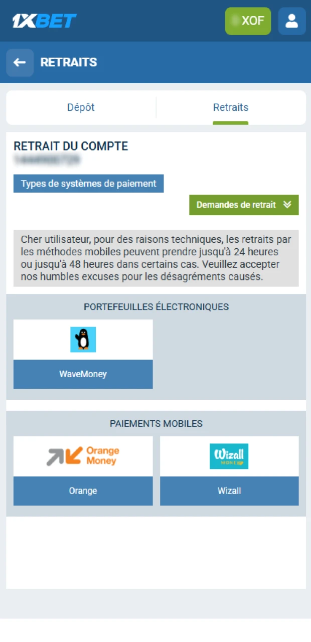 Choisissez l'option de paiement que vous souhaitez utiliser pour le retrait sur 1xBet.